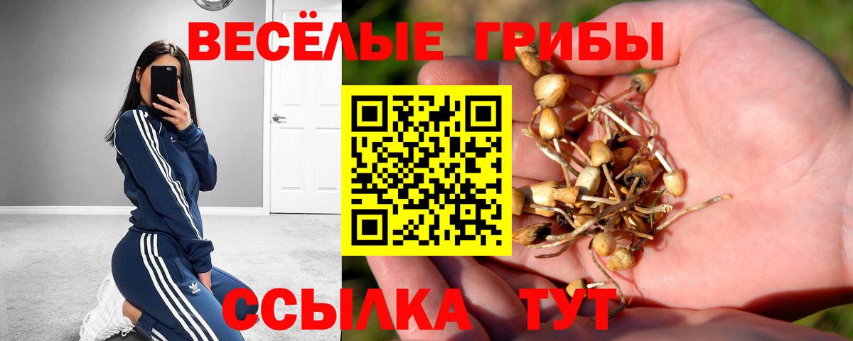Псилоцибиновые грибы MAGIC MUSHROOMS Будённовск