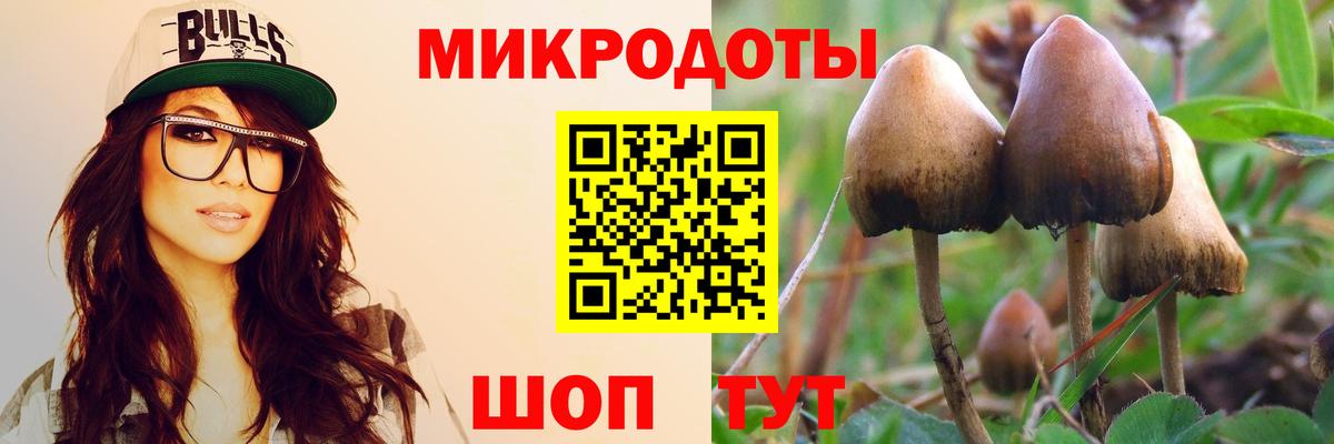 Кокаин Будённовск